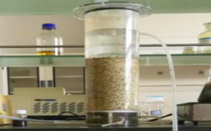 自养/异养反硝化菌在垃圾渗滤液处理应用